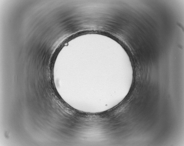 X0000101470927200808041101