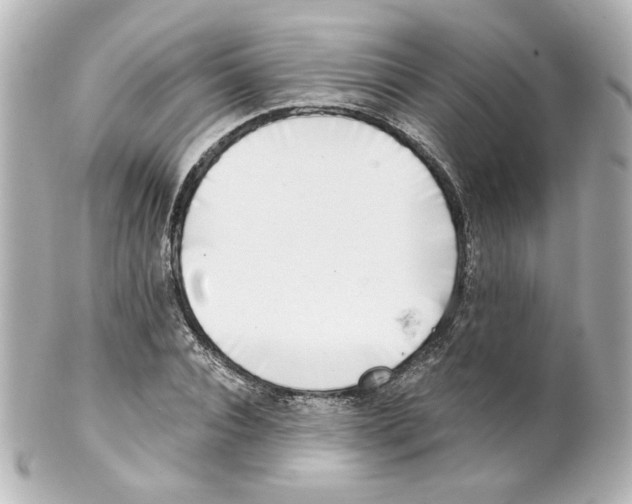 X0000101470928200808041101