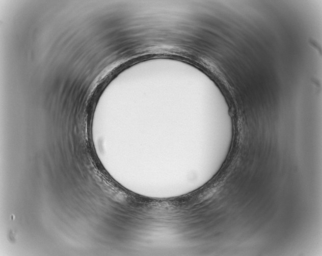 X0000101470931200808041102