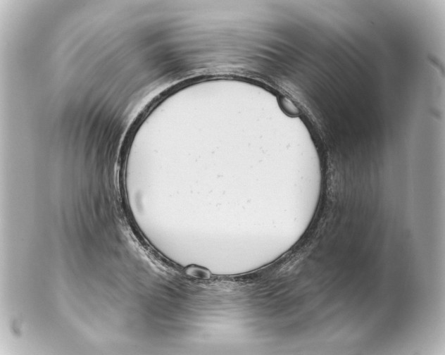 X0000101470932200808041102