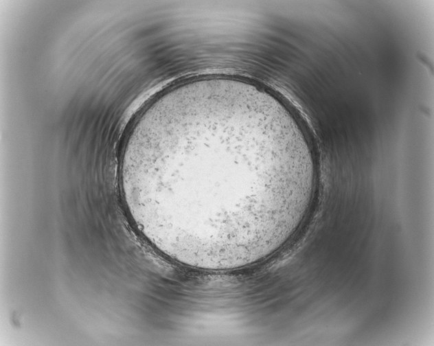 X0000101470933200808041102