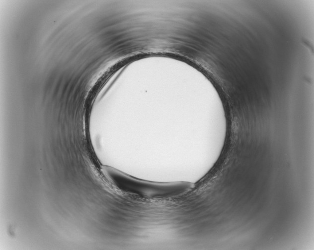 X0000101470934200808041102