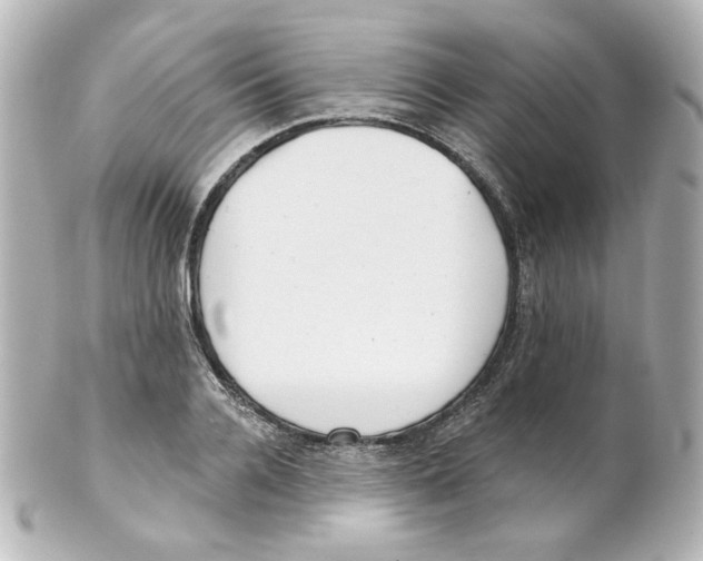 X0000101470936200808041102