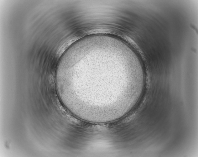 X0000101470937200808041102