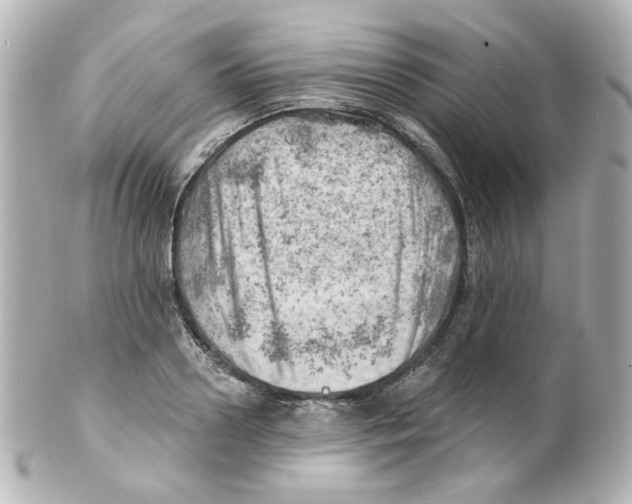 X0000101470938200808041102