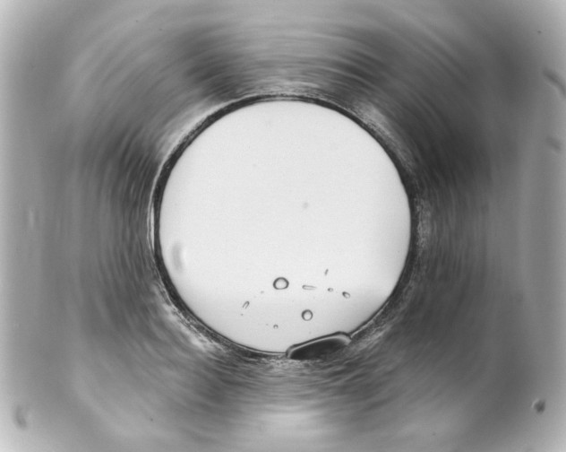 X0000101470940200808041102