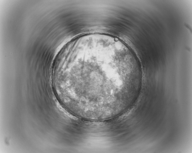 X0000101470941200808041102