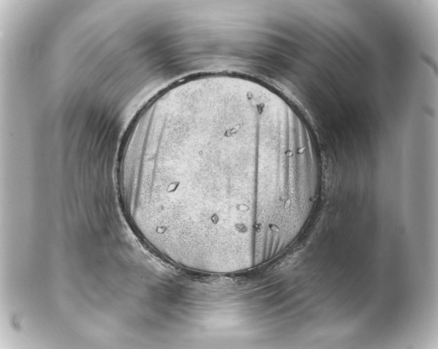 X0000101470943200808041102