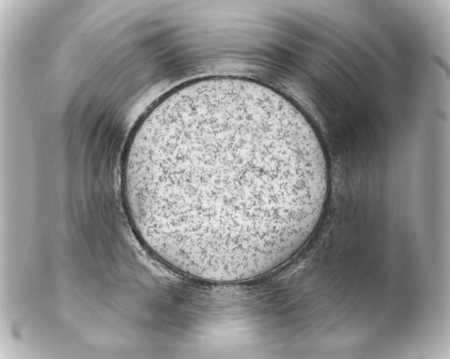 X0000101470944200808041102