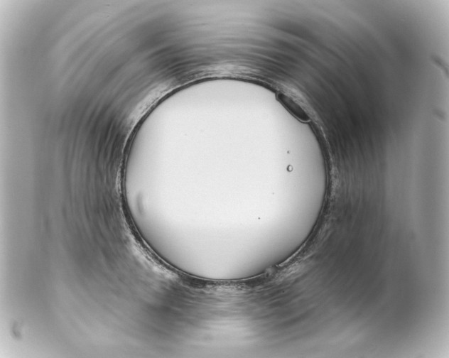 X0000101470946200808041102