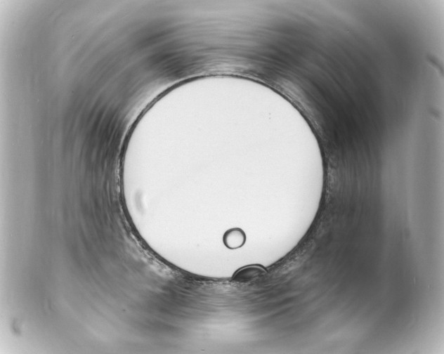 X0000101470948200808041102