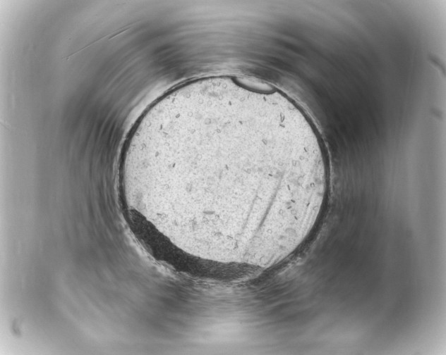 X0000101470949200808041102