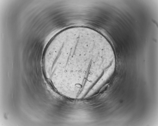 X0000101470951200808041102