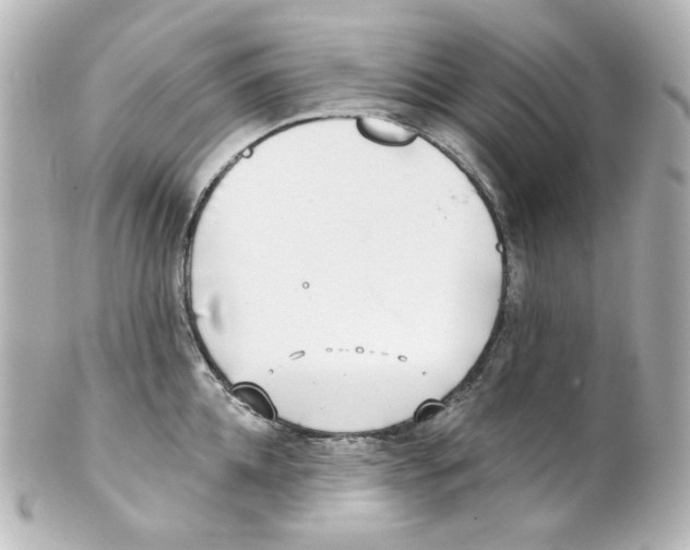 X0000101470952200808041102