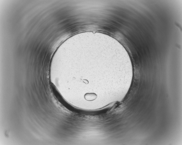 X0000101470954200808041102