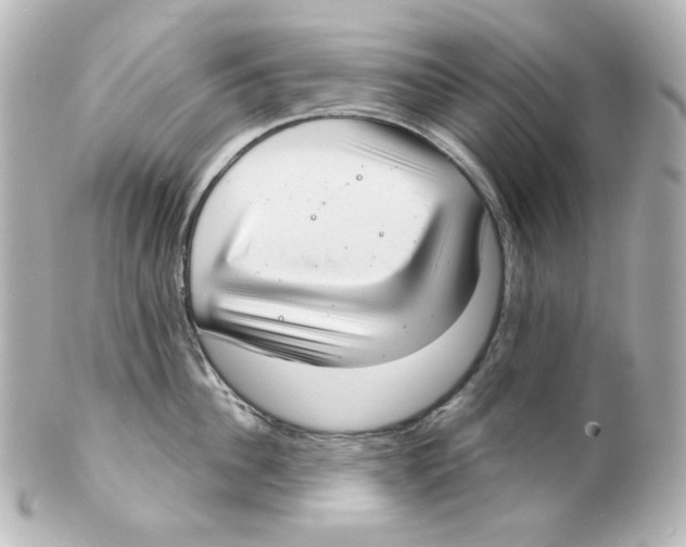 X0000101470956200808041102