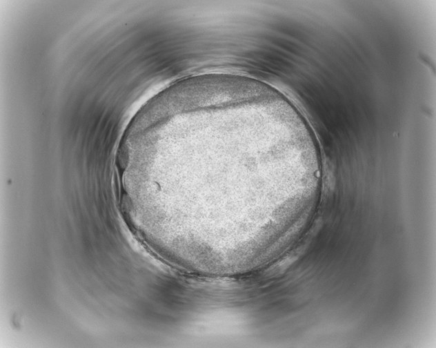 X0000101470957200808041102