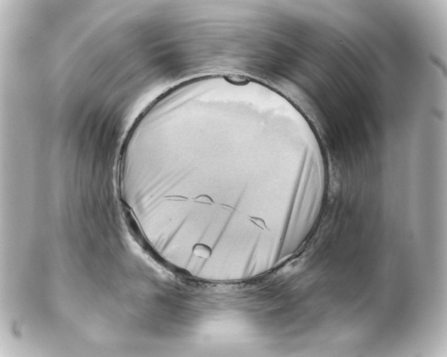 X0000101470958200808041102