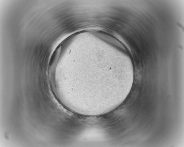 X0000101470959200808041102