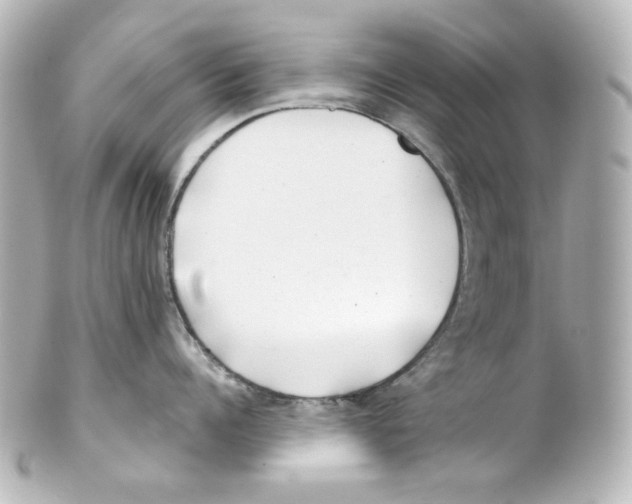 X0000101470960200808041102