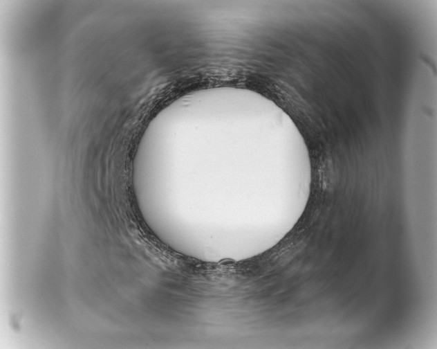 X0000101470961200808041101