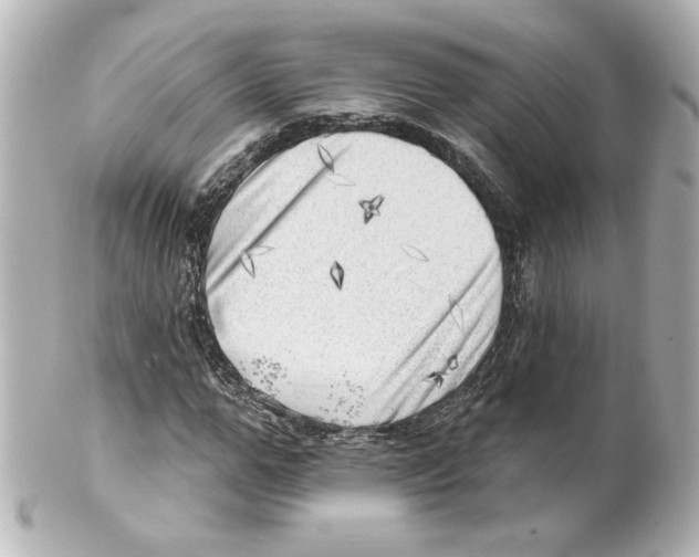 X0000101470967200808041101