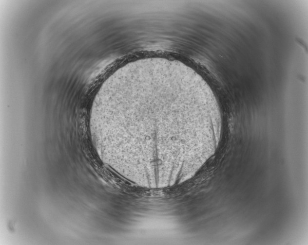 X0000101470968200808041101