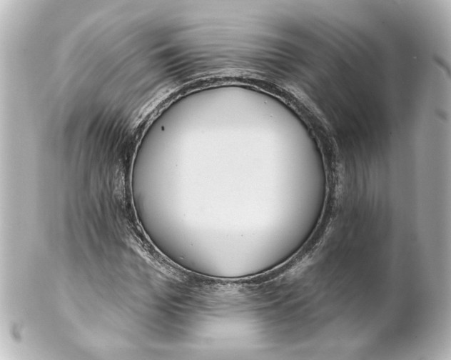 X0000101470969200808041101