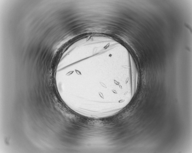 X0000101470971200808041101