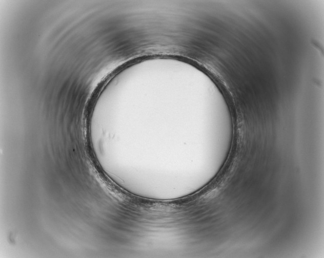 X0000101470981200808041101