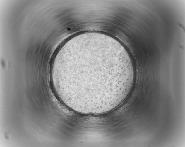 X0000101470984200808041101