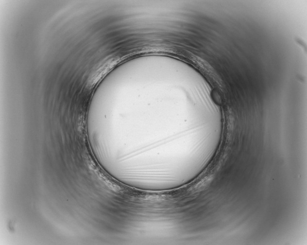 X0000101470985200808041101