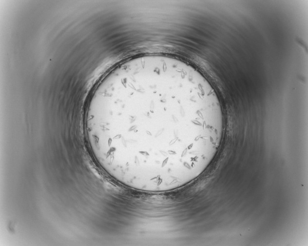 X0000101470986200808041101