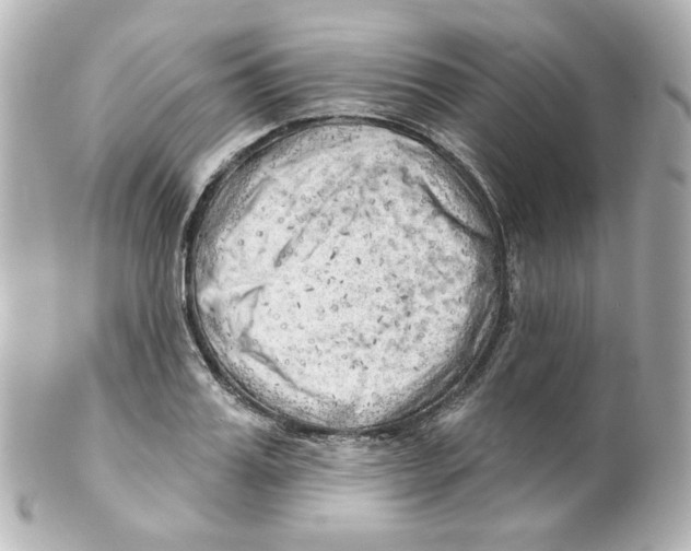 X0000101470987200808041101