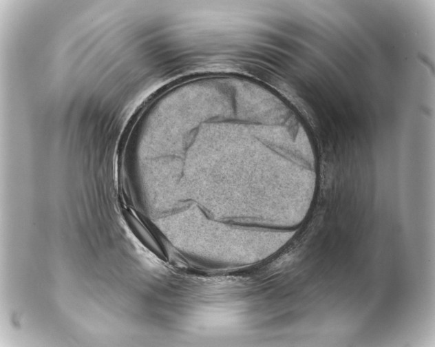 X0000101470988200808041101