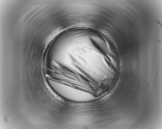 X0000101470989200808041101