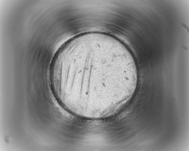 X0000101470991200808041101