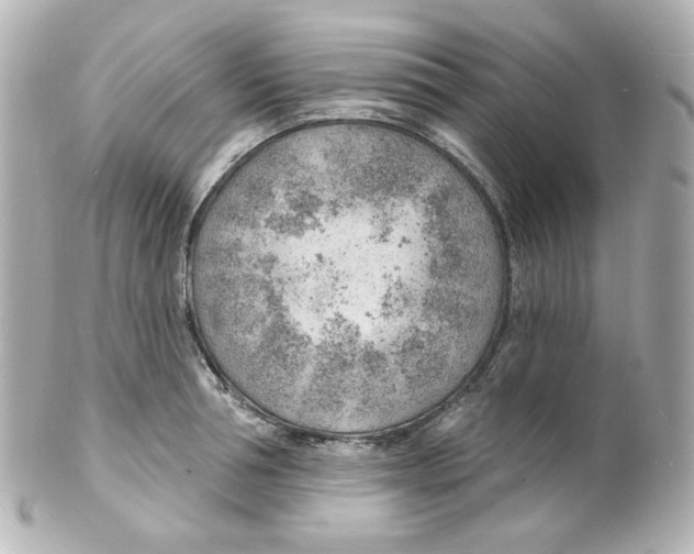 X0000101470994200808041101