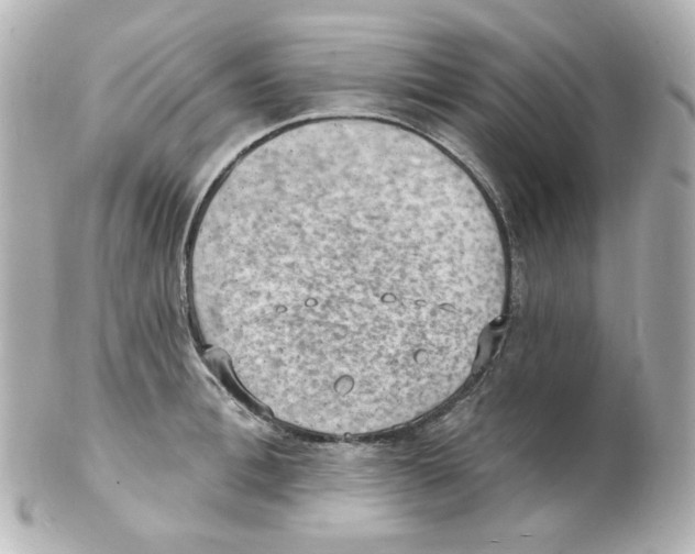 X0000101470996200808041101