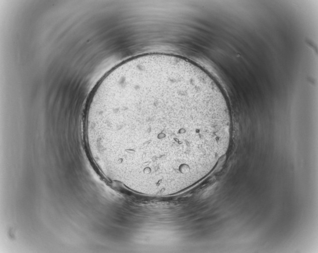 X0000101470999200808041101