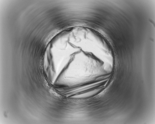 X0000101471001200808041101