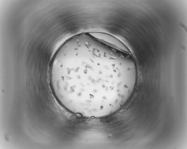 X0000101471006200808041101