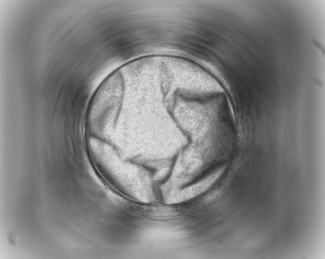 X0000101471007200808041101