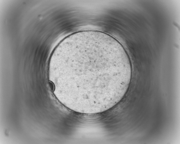 X0000101471008200808041101