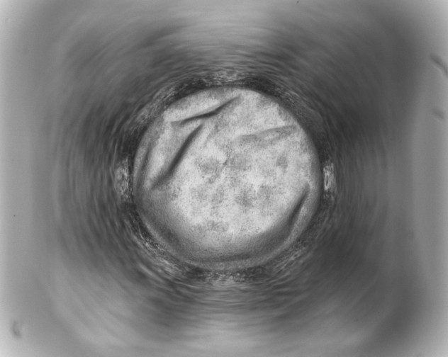 X0000101471011200808041100