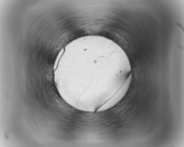 X0000101471012200808041100