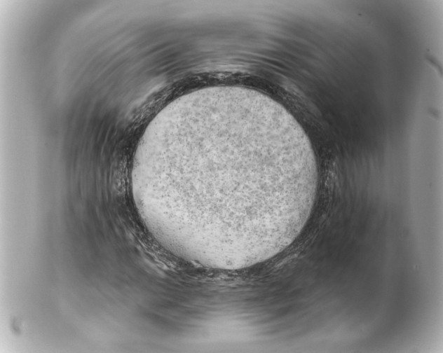 X0000101471014200808041100