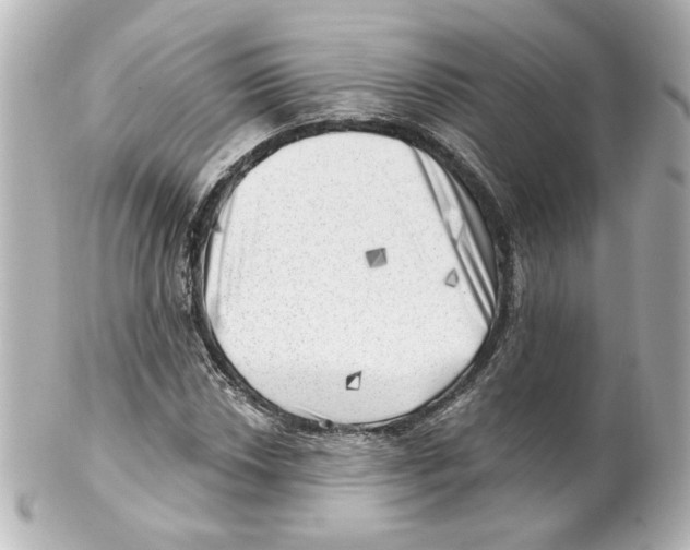 X0000101471018200808041100