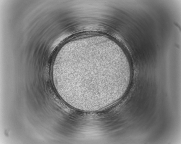 X0000101471019200808041100