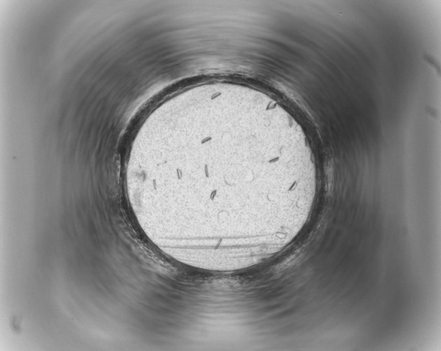 X0000101471021200808041100